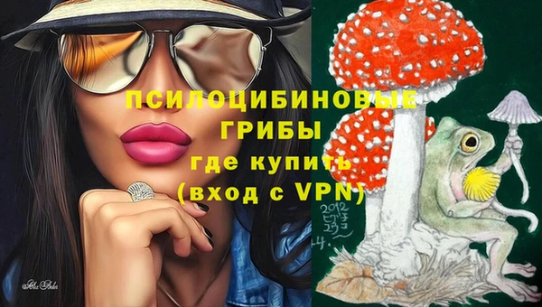 прущие крисы Алексеевка