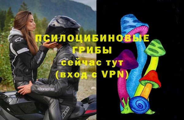 тгк Лагань