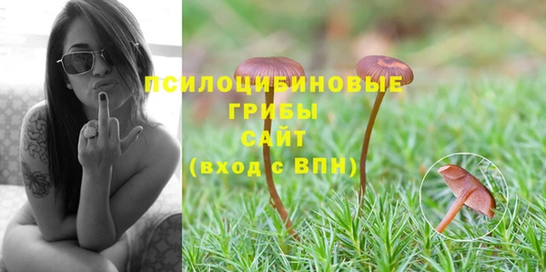круглые Алексин